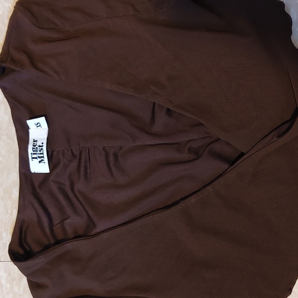 Tiger Mist Brown Mesh Mini Dress - Picture 2 of 5